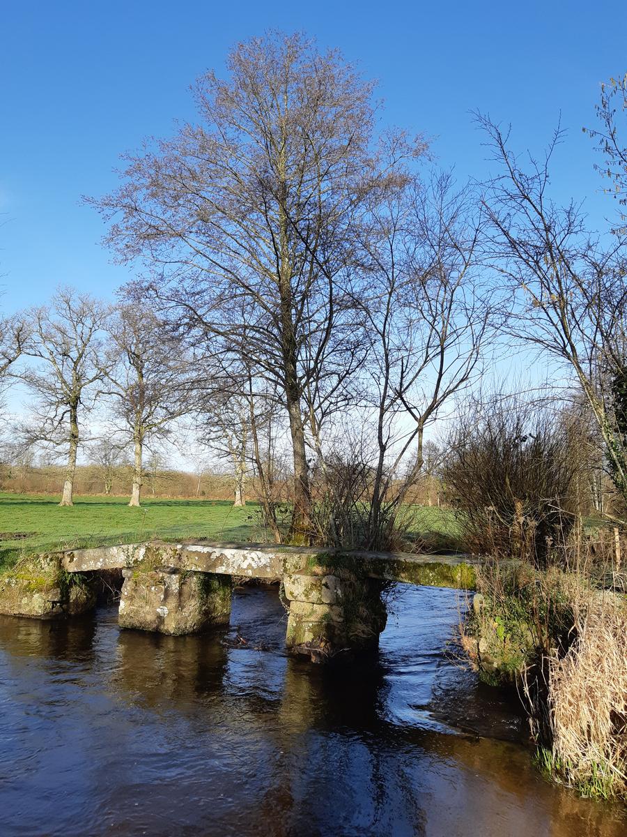 Le pont de pierre sur la Sienne